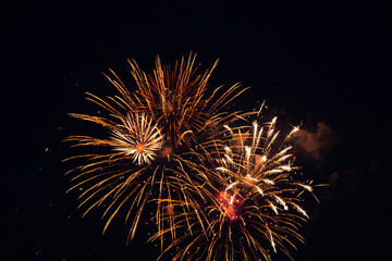  Festive fireworks in the dark night sky