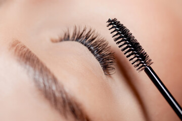 Master combing with brush lashes after eyelash extension procedure microblading in beauty salon