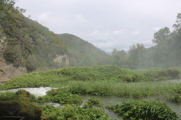 river in the forest