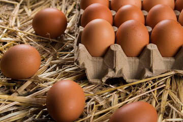 Cubetas de huevos frescos y organicos