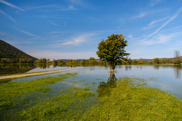 Flooded Planina plain in autumn in Slovenia