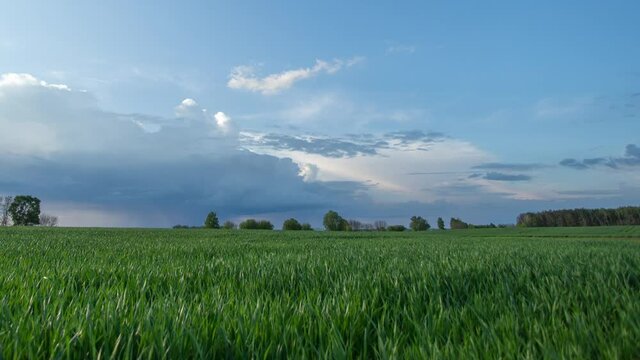 4k video time lapse with Cinemagraph. White clouds moving in blue sky, road traffic seen in distance on horizon line, green young winter crops in foreground with cinemagraph effect without motion