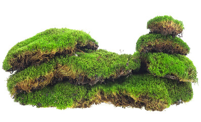 Fresh green moss isolated on a white background. Green mossy hill. Moss pyramid.