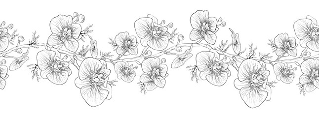 Orchid Vector. Floral Botanical flower isolated on white background. monochrome, seamless background, decor with exotic branches and leaves. Orchid-symbol of love for Wallpaper, advertising.