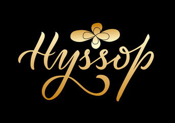 Vector illustration of hyssop lettering for packages, product design, banner, sticker, spice shop, greenery shop price lists. Handwritten word with a leaf for web or print
