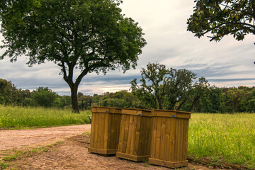 Three wooden trash cans in the park on a background of trees