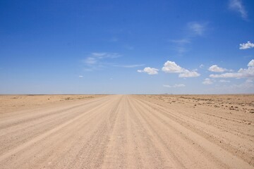 Fototapeta na wymiar Hitchhiking empty highway dusty road no people hitting the road Damaraland, Namibia.