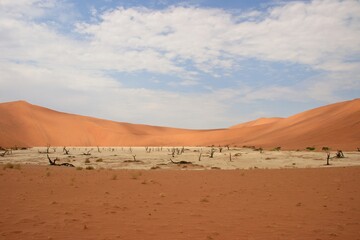 Hidden Vlei dead tree landscape in desert Namib-Naukluft National Park, Namibia.