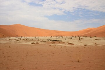 Hidden Vlei dead trees in desert landscape Namib-Naukluft National Park, Namibia.