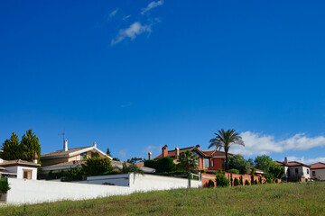 View of a residential of single-family houses and chalets with trees and flowers on a sunny spring morning