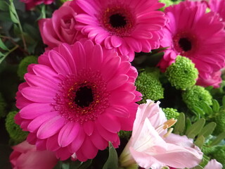 detail of beautiful pink flowers