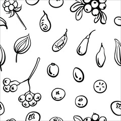 Seamless pattern with garden and wild berries in black line sketchy style isolated on white background. Doodle hand drawn vector illustration