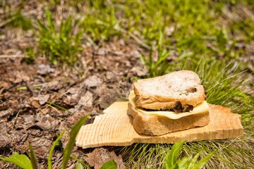 Panino imbottito nella natura sul tagliere di legno