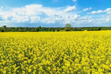 Fototapeta premium Hannover Bemerode