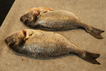 Fresh fish with rosemary.Raw dorado fish on parchment.Parchment With Fresh Dorado Fish.