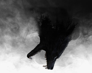 Illustration Werewolf With Double