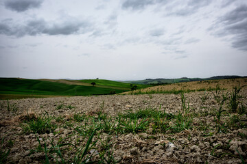 Lovely Tuscany landscapes