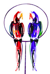 Adult parrot  cartoon bird design flat  illustration on white background