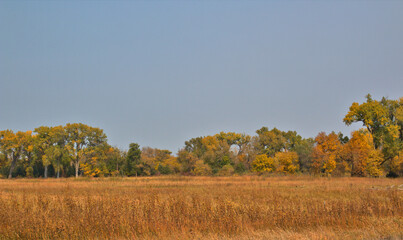 Obraz premium Colorful fall landscape along a small rural stream