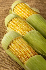 Green corn on the wooden table.