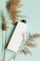 Shampoo bottle and dry bulrush on blue background © Simonforstock