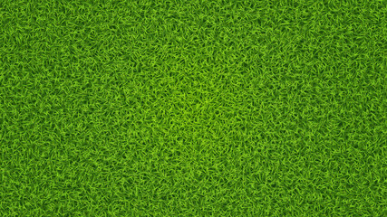 Plakat Green grass vector texture. Fresh lawn summer grass background