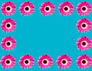 Fototapeta na wymiar Creative spring or summer frame background made with pink daisy flowers on sky blue background. Flat lay social mockup with copy space.