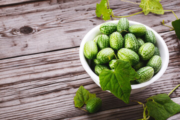 Picked cucamelon in white bowl