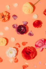 buttercup flowers on orange background.