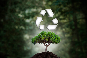 tree in the forest with renewable and sustainability sign