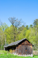 Fototapeta na wymiar Old wooden house in summer forest