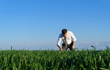 Naklejka na ściany i meble businessman walks in a field, green grass and blue sky as background