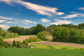 Culture et champs en Ile de France