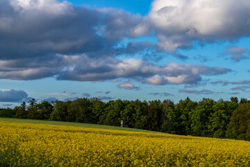 Hochfläche bei Hegenlohe