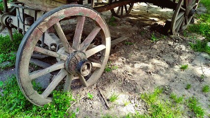 Fototapeta na wymiar old stagecoach carriage wheel from a western movie on a grassy ground