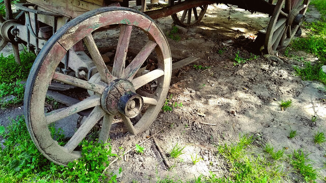 old stagecoach carriage wheel from a western movie on a grassy ground