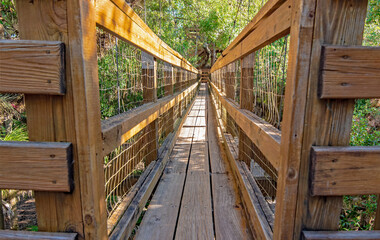 Wooden Canopy Walkway in Trees at Park