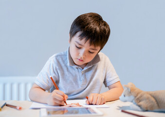 School Kid using colour pen drawing and painting on paper, A boy doing home work sitting with tablet, Child colouring dog toys on paper, E-learning online education