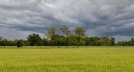 Fototapeta na wymiar Rural landscape with thunderstorm clouds and cultivated fields