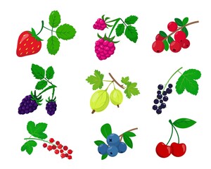 Bright berries with leaves icons collection.