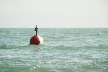 A marker buoy floating in the sea. beacon. Sunny late autumn afternoon. 