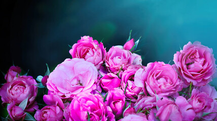 Fototapeta premium Natural border of roses on blue background