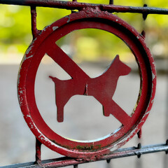 Hunde verboten Schild Hundeverbot Hundeverbotsschild Kinder Kinderspielplatz Spielplatz