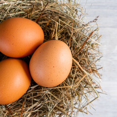 Closeup raw white brown organic fresh eggs shell with yolk from happy chicken hen free range farm on nature hatch grass straw nest healthy protein food symbol of spring season birth easter festival