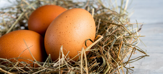 Closeup raw white brown organic fresh eggs shell with yolk from happy chicken hen free range farm on nature hatch grass straw nest healthy protein food symbol of spring season birth easter festival