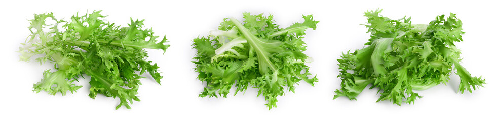 Fresh green leaves of endive frisee chicory salad isolated on white background with full depth of field. Set or collection