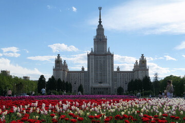 Red blossoming tulip flowers in spring campus of famous university in Moscow  under dramatic sky