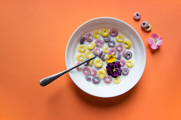on a peach plain background a beautiful summer American breakfast: multi-colored flakes rings with milk and violet flowers of yellow pink and violet color. there is a spoon in the plate
