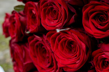 Engagement ring in red roses , gold ring with diamond