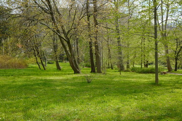 Frühling Parkanlage mit grünen Wiesen
